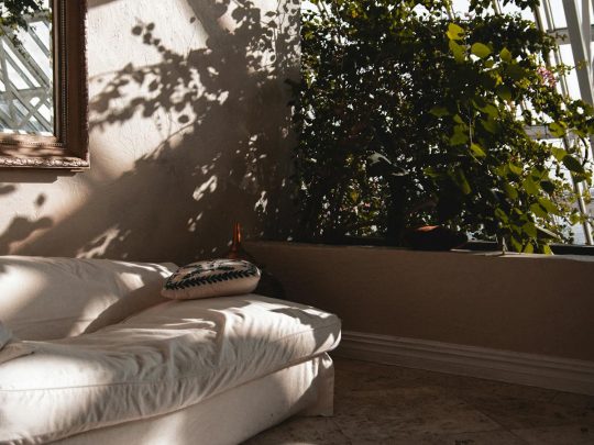 A sunlit corner of a quiet room with a soft cream sofa, dappled light through plants and a calm, welcoming feel — a metaphor for the gentle pace of a first counselling session
